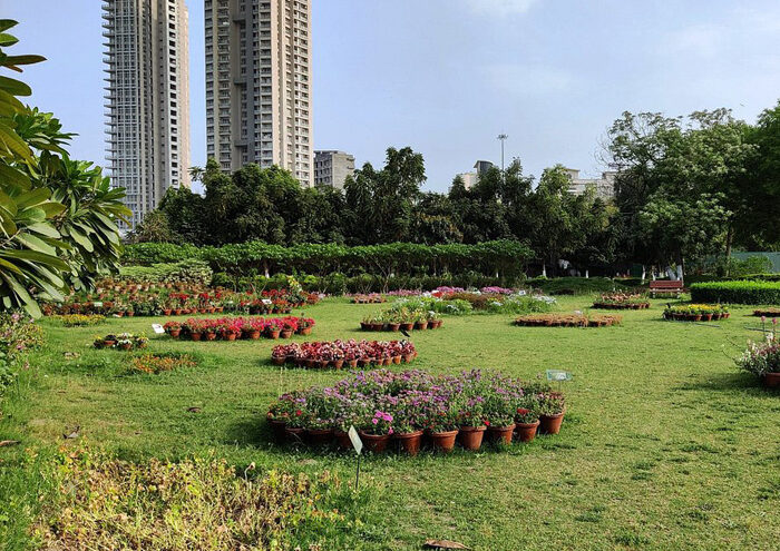 Noida-5