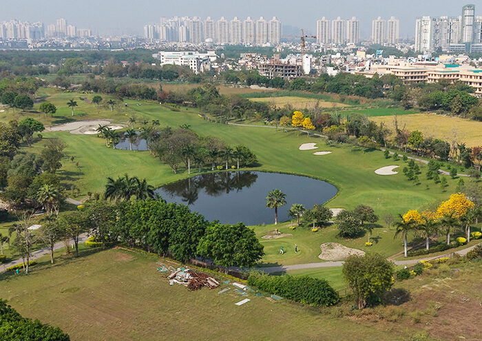 kingswood oriental Gallery Image 2